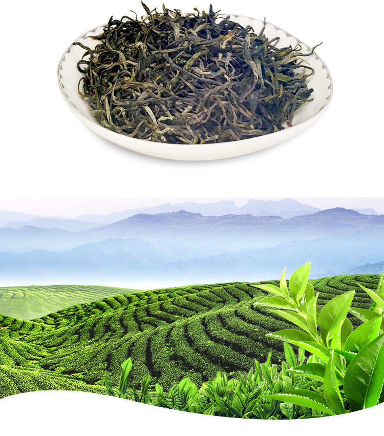 茶叶2020年新茶云南普洱滇绿茶 一级银丝 花果茶 散茶批发500克