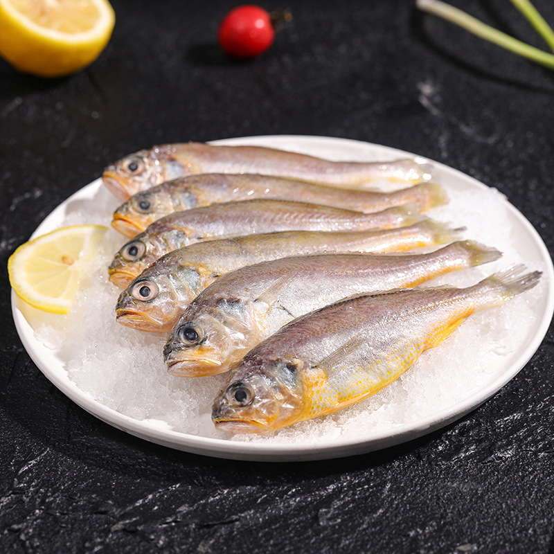 冷冻小黄鱼 野生小黄鱼 新鲜冷冻海鲜水产速冻黄花鱼500g/袋