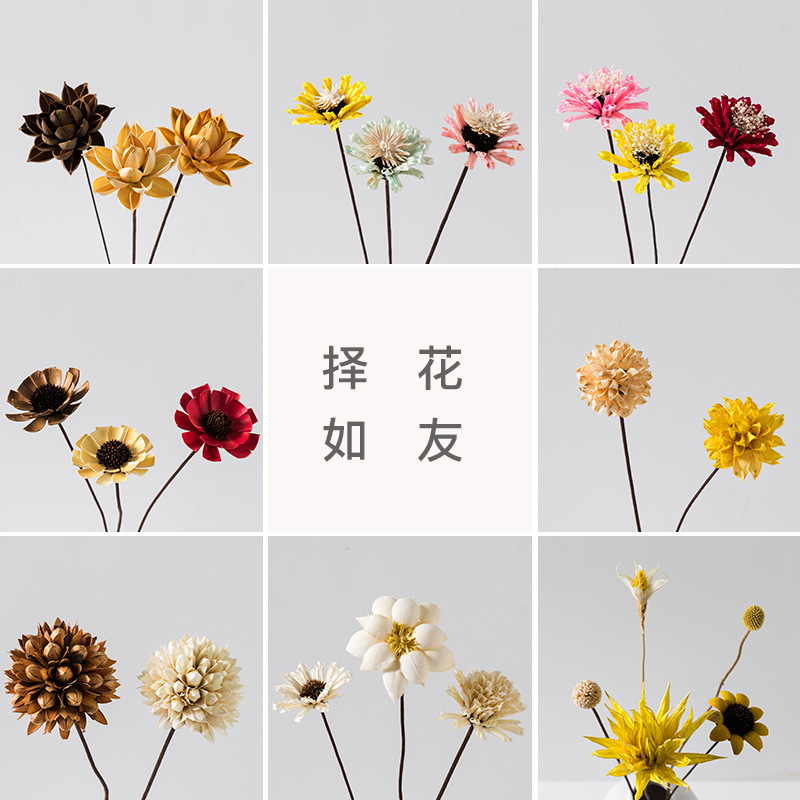INS Simple and Natural Dried Flower Home Vase Flower Arrangement DIY Handmade Real Flower Decorative Setting Props Dried Flower Wholesale