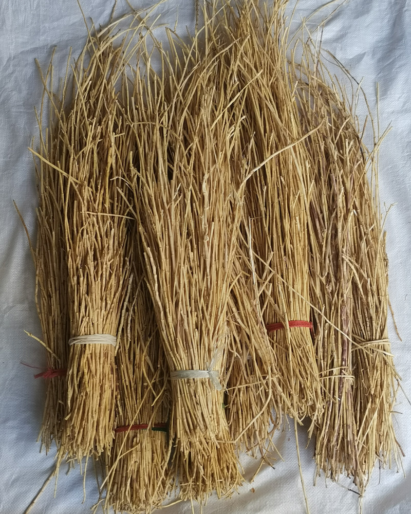 批发各种规格白茅根 甜甜根 整根白毛根 农产品散装