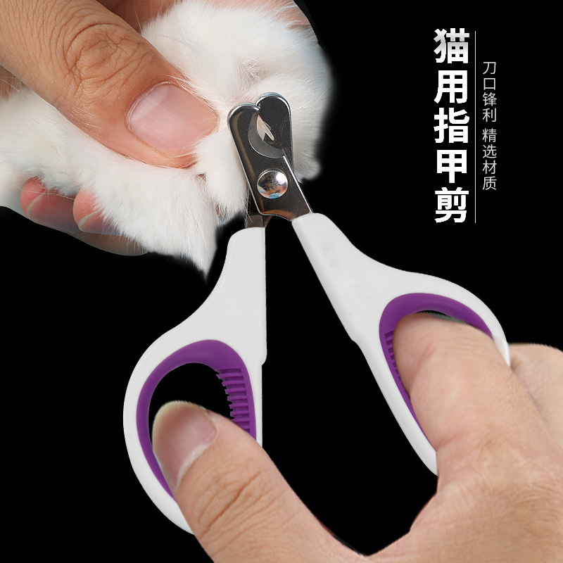 宠物猫咪指甲剪幼猫指甲刀猫爪指甲钳小猫专用剪指甲神器一件代发