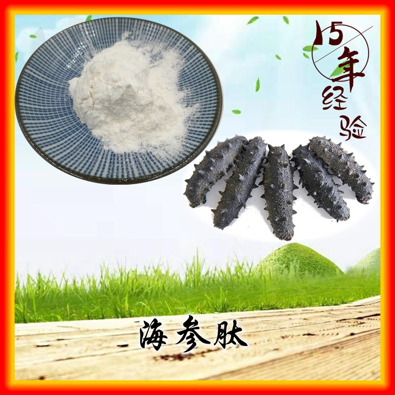 海参肽 98% 海参蛋白肽粉 海参低聚肽 酶切割小分子 100g/袋 直销