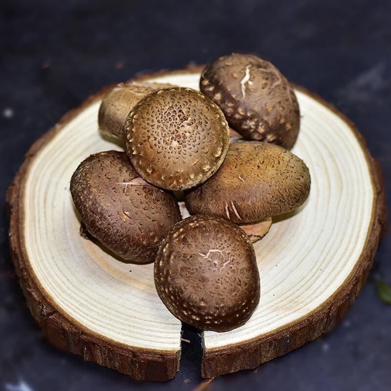 秦岭新鲜香菇蘑菇菌菇蔬菜火锅涮菜新鲜蔬菜农家自种批发2斤包邮