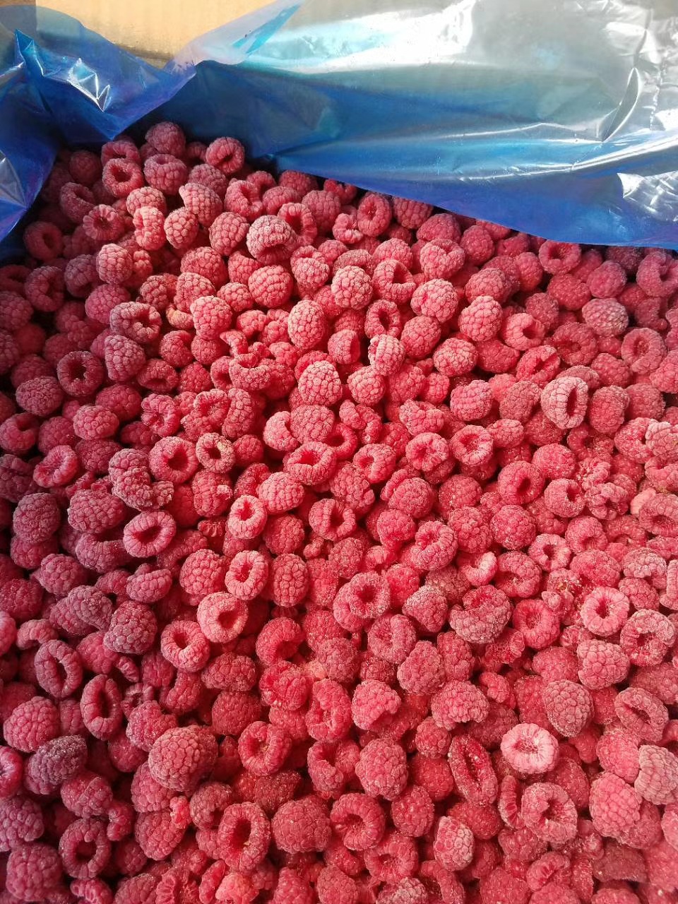速冻红树莓 冷冻红树莓 冻树莓 果汁果酱果馅甜品水果原料供应