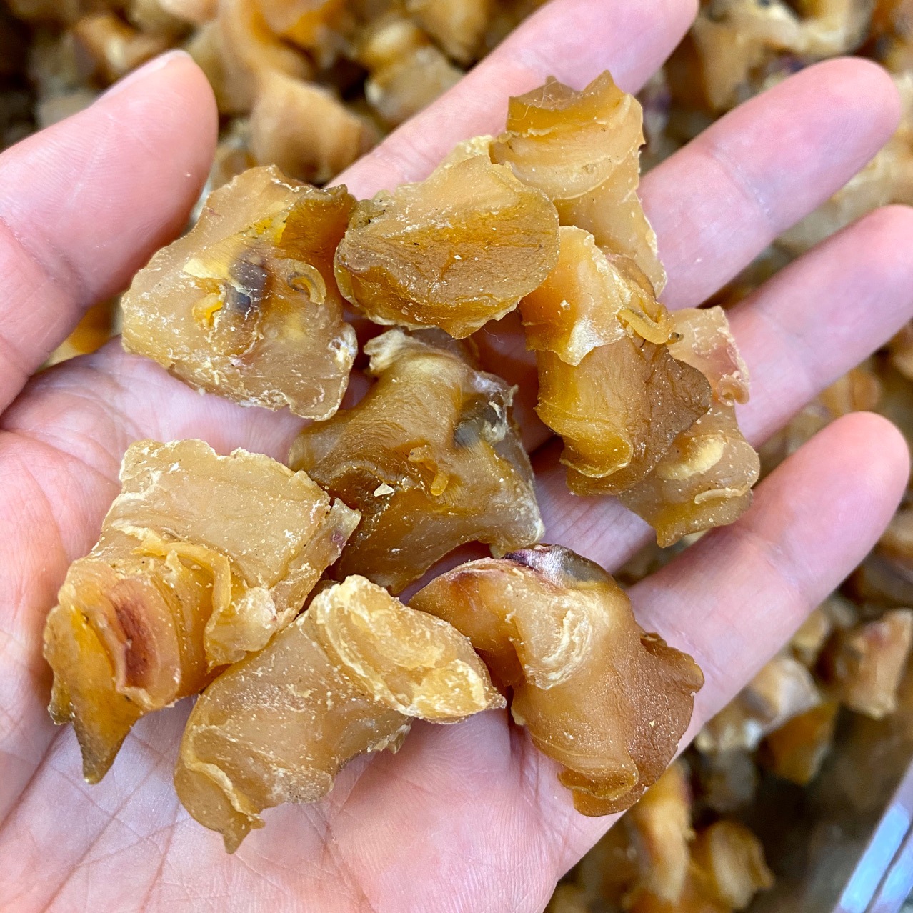 红螺头海螺肉干 酒店食材批发海鲜干货500g