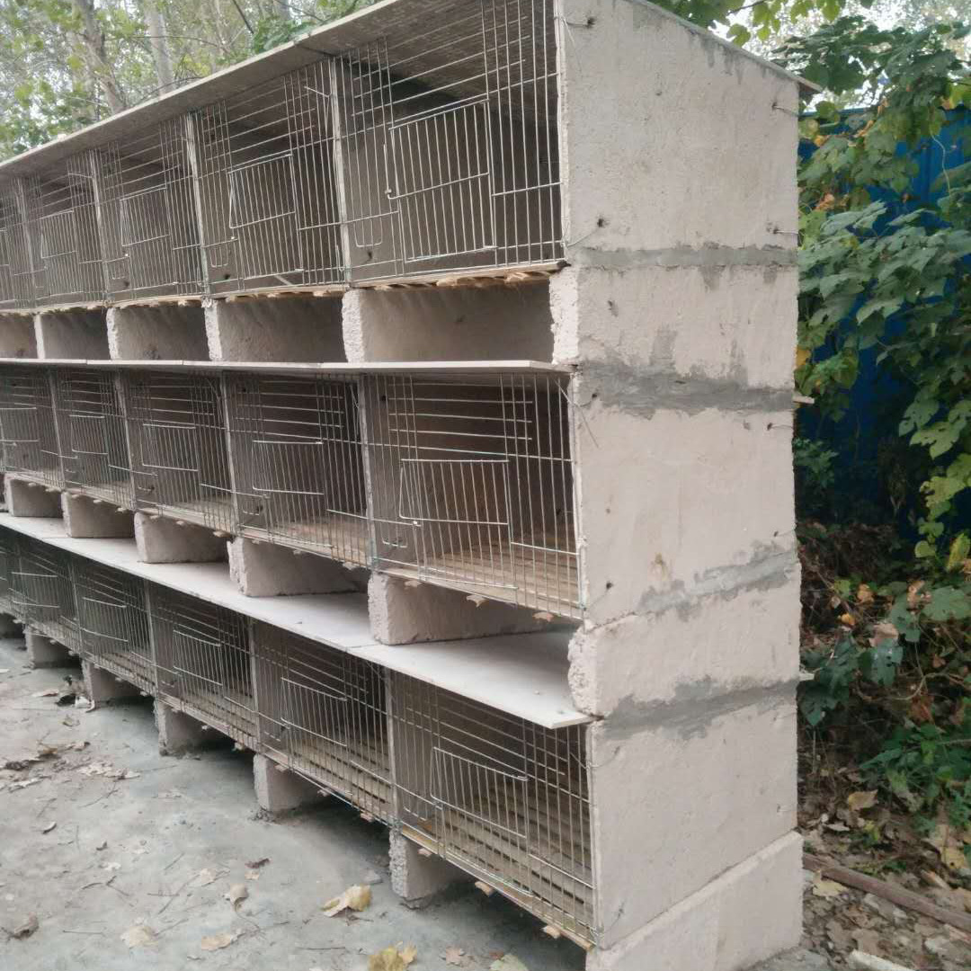 量大优惠水泥兔笼子母笼 大型养殖场家用水泥兔笼子母笼