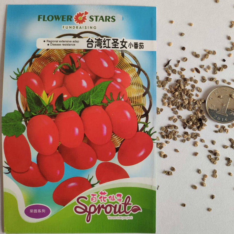 台湾小番茄种子