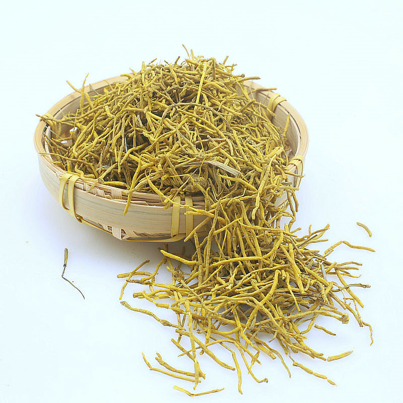 厂家无花雪山黄龙根 地摊展销会雪山黄龙草茶 送广告录音说明书