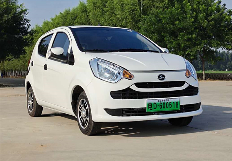 宝岛电动四轮车 成人代步全封闭油电两用电动汽车 家用低速电瓶车