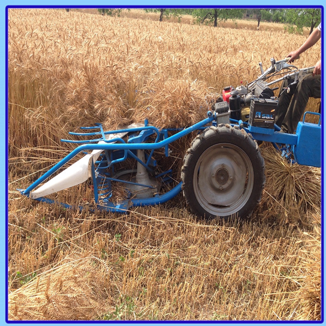 三轮坐式芦苇小麦收割打捆机 厂家直销四轮秸秆植物割捆机