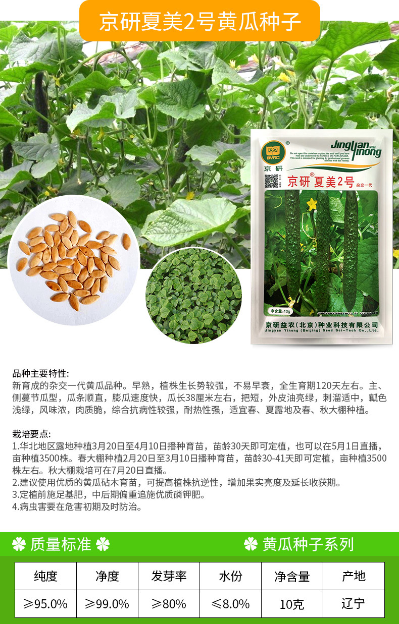 凤鸣雅世 京研夏美2号黄瓜种子 10克