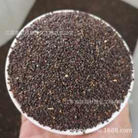 黄花败酱草种子南败酱草苦益菜苦麻菜苦菜子种子量大优惠货到付款