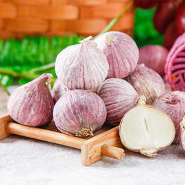 云南独蒜紫皮独头蒜大理新鲜辛辣新蒜糖醋蒜1/3/5/9蒜头一件代发