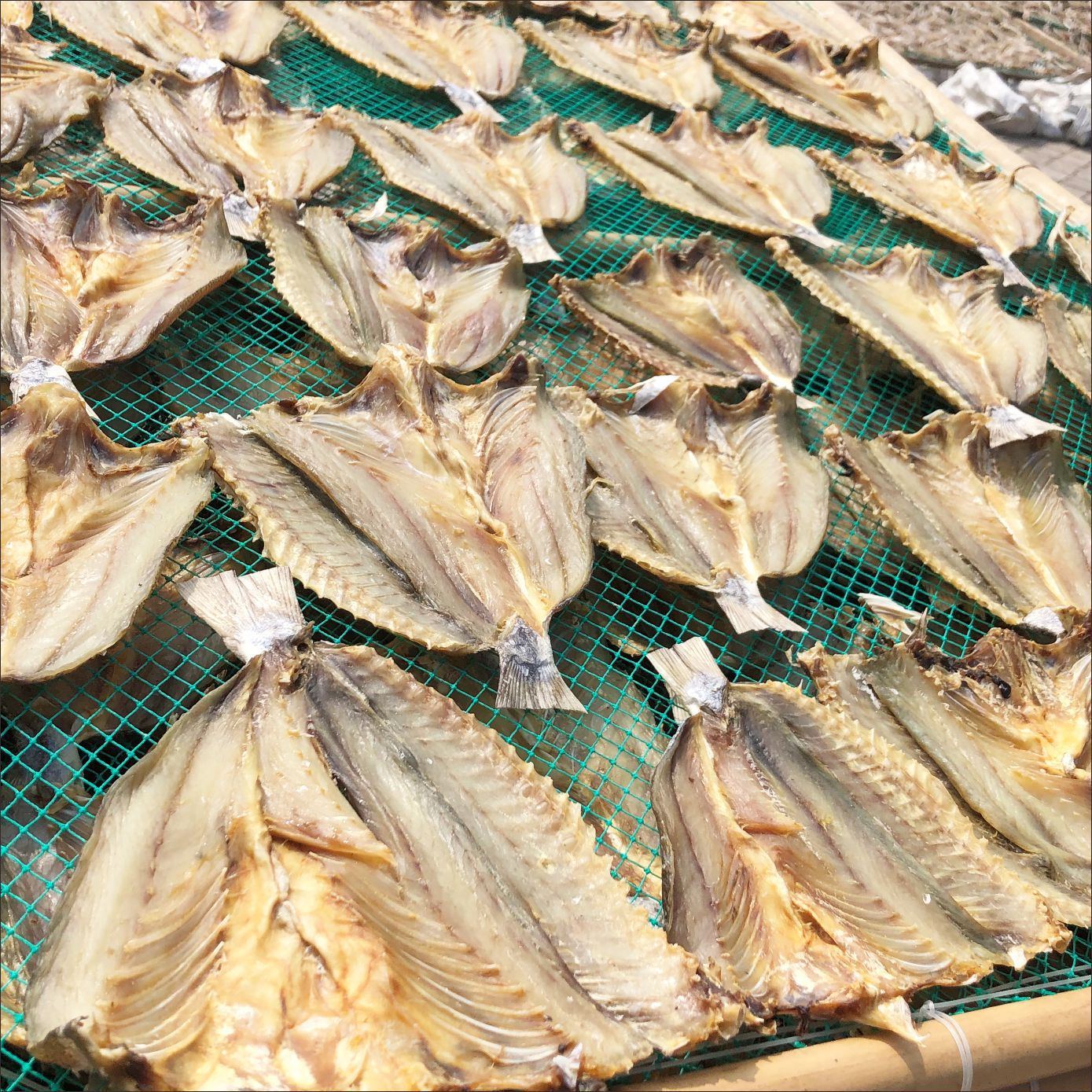 北海特产自晒咸鱼干节日赠礼小海鲜淡晒足干海鲜水产干货花丽鱼干