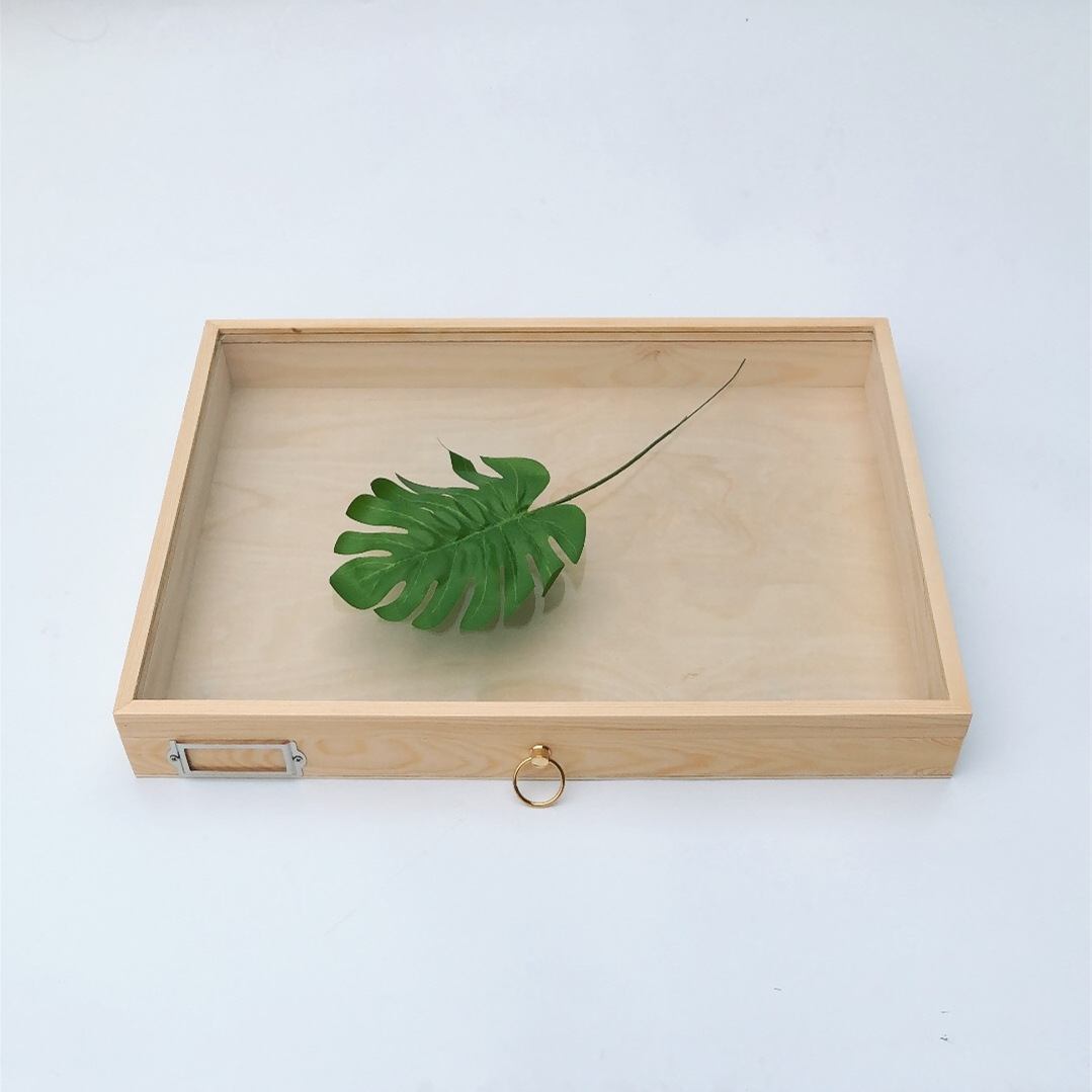 昆虫标本盒 实木植物标本盒 透明插针昆虫木制标本盒 木盒定做