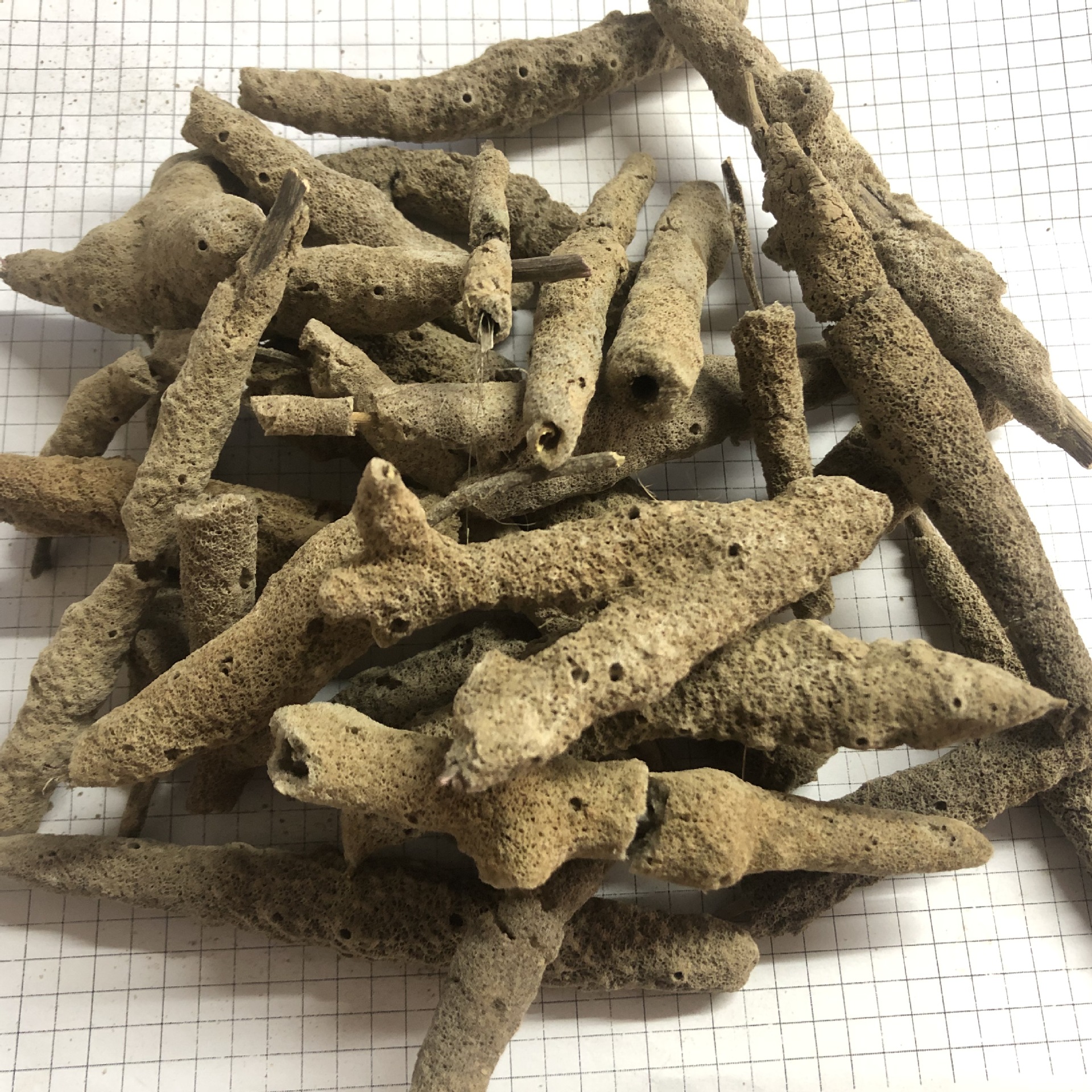 紫梢花zixiaohua产地山西11月产新1100每公斤包邮紫霄花花子