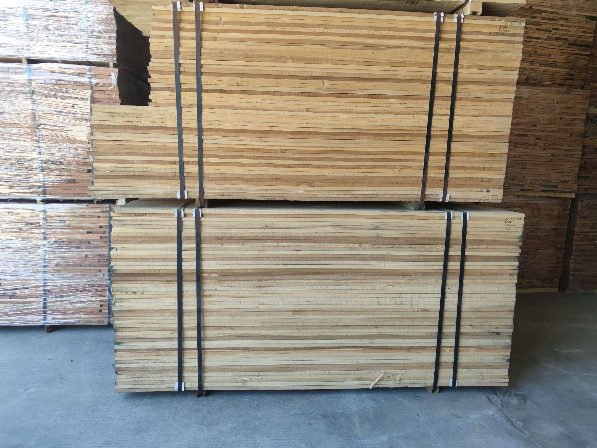 美国黄杨木 北美黄杨木原木 黄桦木 鹅掌楸木 烘干板材工艺品木料