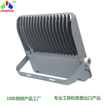 高光效免工具维护贴片模组仿飞投光灯高杆灯50W100W200W300W