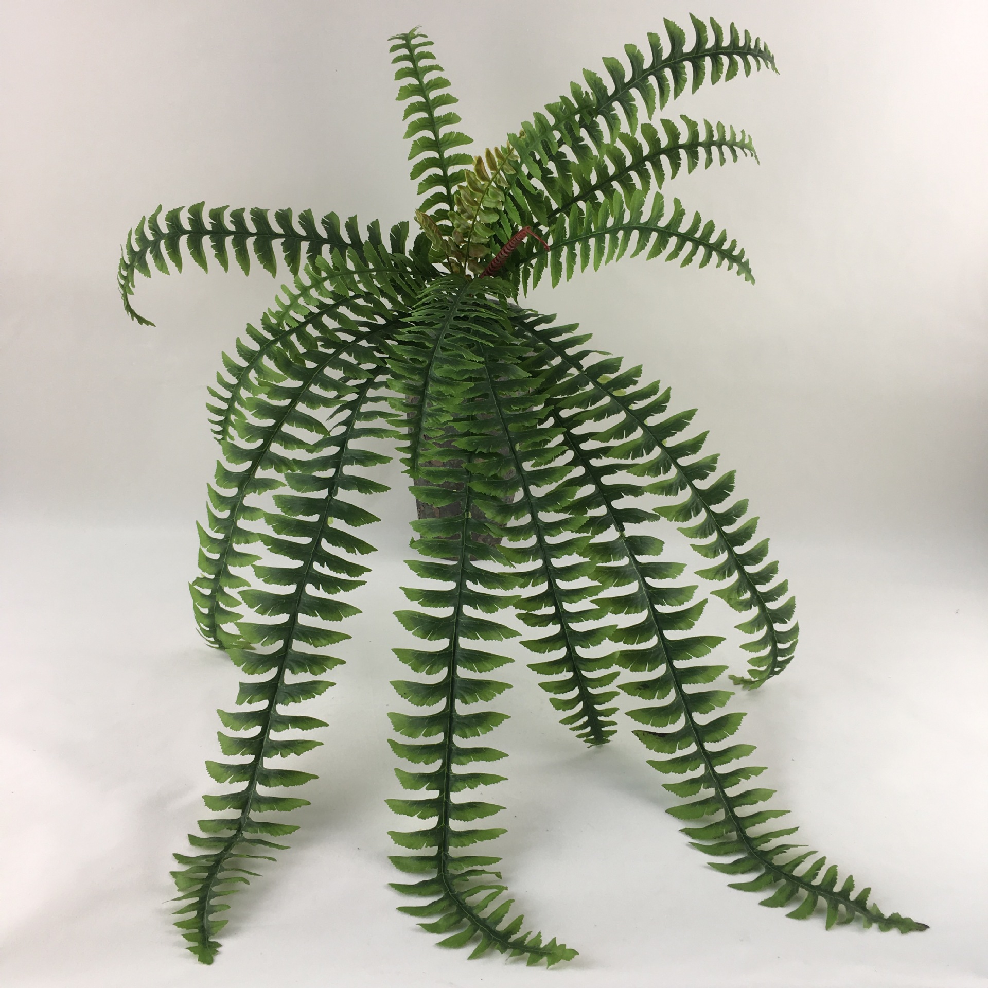 仿真波斯叶壁挂蕨类植物植物墙波斯长蕨草18头孔雀叶壁挂仿真植物