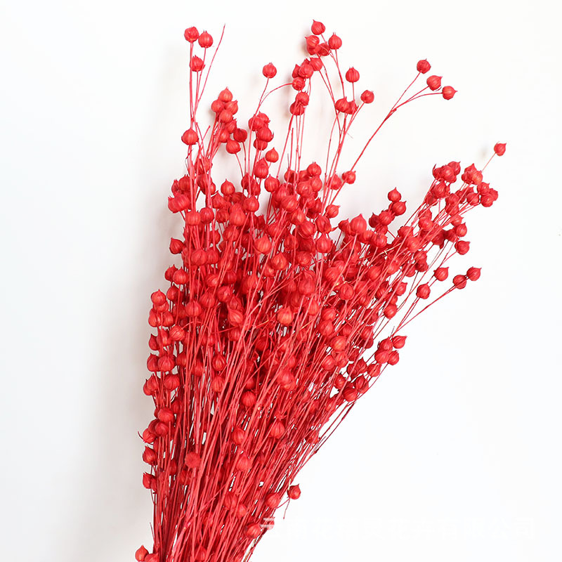 干花相思豆富贵豆 胡麻豆云南 工艺礼品配材家居装饰云南基地批发