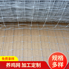 供应塑料养鸡网 双向拉伸网 塑料网 养殖网家禽铁丝围栏网