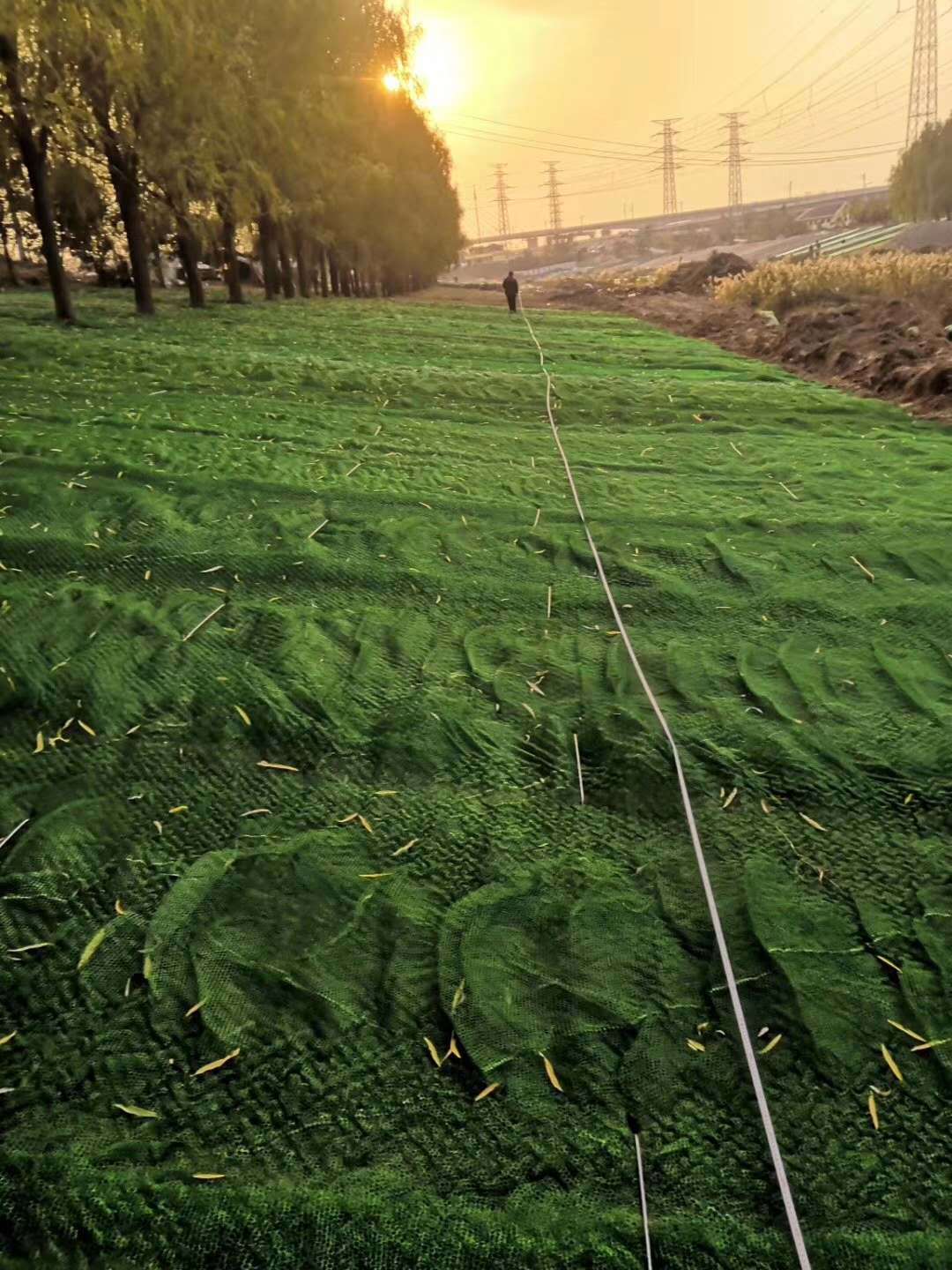 护坡植草园林绿化三维植被网草坪绿色公路护坡植草网河道护坡加筋