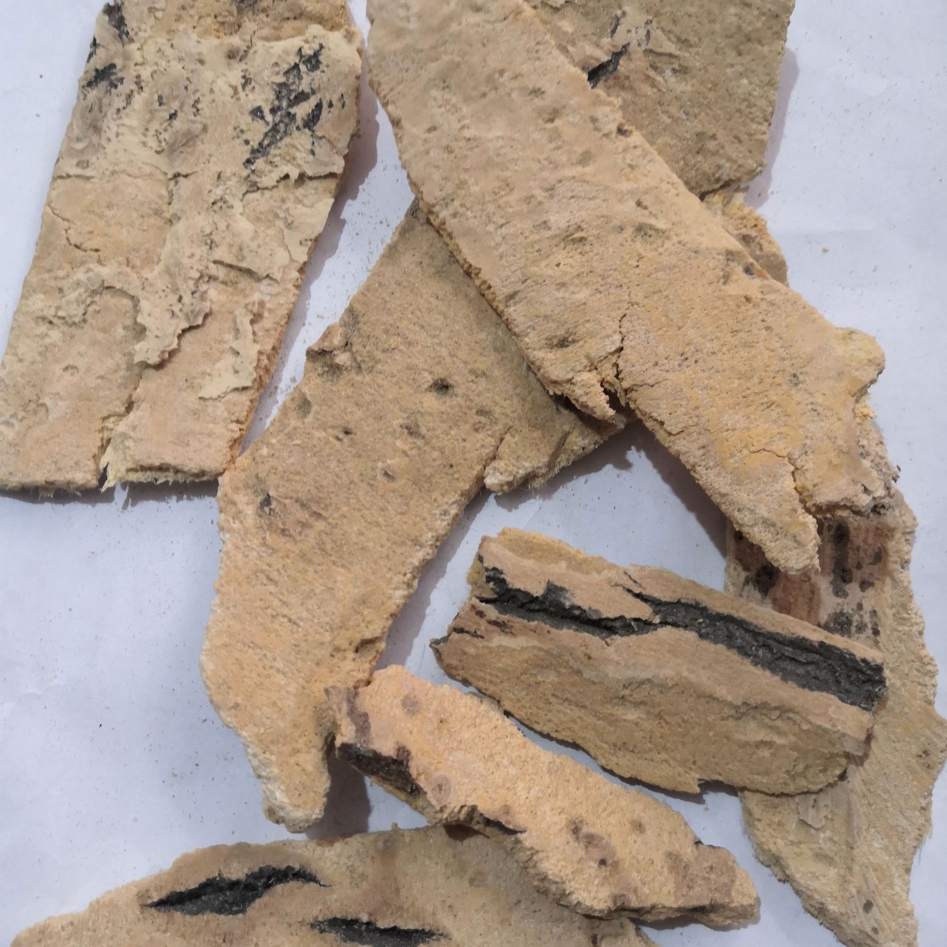 中药材椿白皮 椿皮 椿身皮 椿根皮 去老皮无硫新货