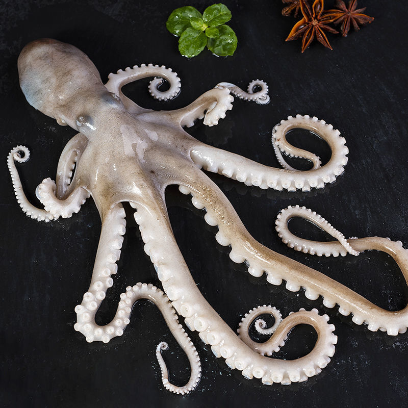 长腿八爪鱼章鱼爆头八爪鱼一箱八爪鱼爆头鲜活速冻章鱼八爪