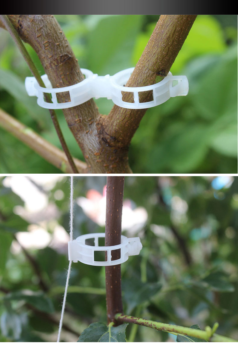 植物生长夹 蔬菜水果番茄固定器 盆景绑蔓绑枝吊蔓扶蔓夹藤蔓夹子