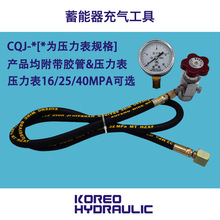 科力远液压CQJ蓄能器充气充氮测压工具16 25 40MPa带压力表和胶管