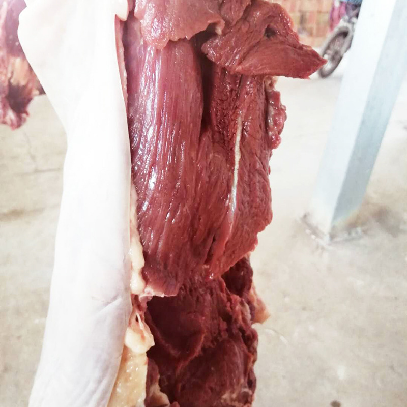 现宰鲜货自家养殖场直供德州大黑驴三粉驴带皮驴肉