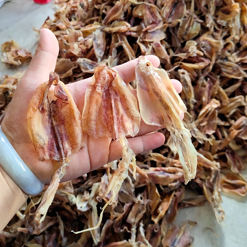 批发北海鱿鱼华侨小鱿鱼仔尤鱼干货鱿鱼婆船上收购淡干串孔挂晒