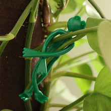 园艺辅助卡通扎带青蛙蜥蜴树枝整理绑带植被装饰【亚马逊热卖】