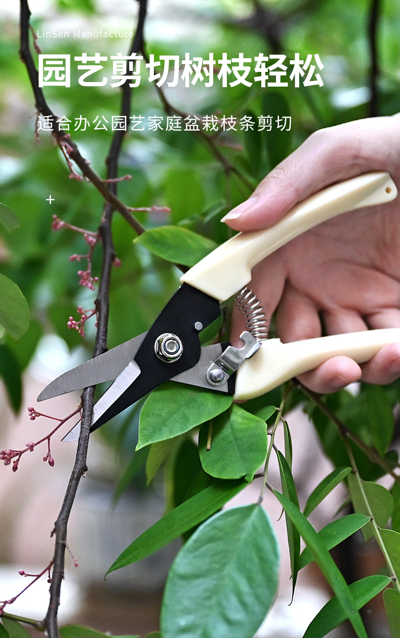 花园剪 园艺修剪 树枝园林省力修花枝剪