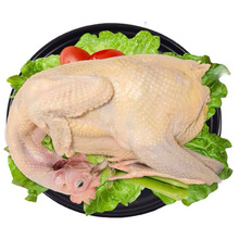 5斤1只起批散养大公鸡农家土公鸡处理后白条净重按斤计价批发包邮