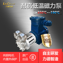 高温泵350℃ 低温泵-100℃ 供应模温机导热油泵 LEADPUMP磁力泵