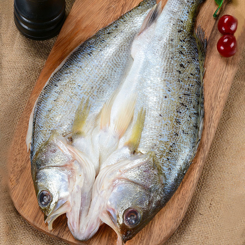 开背鲈鱼海鱼新鲜水产海鲜深海七星海鲈鱼海捕花鲈鱼