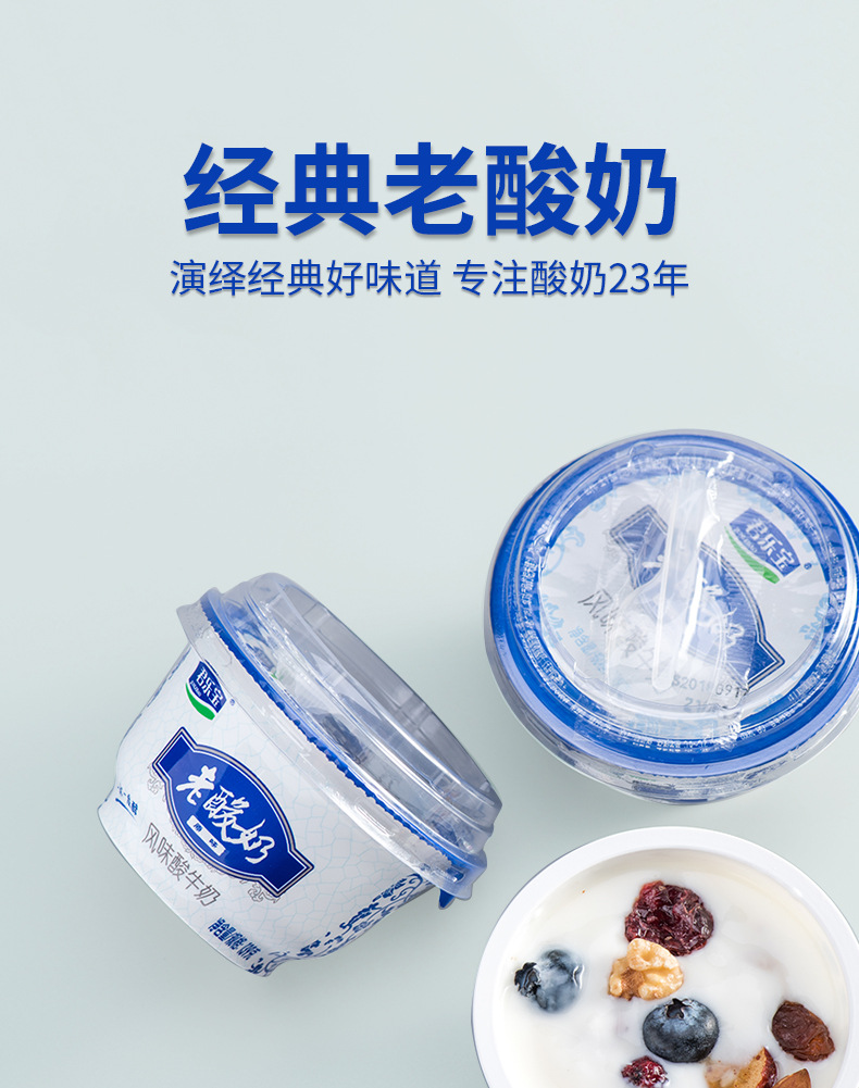 君乐宝老酸奶原味益生菌发酵乳风味酸牛奶营养早餐奶12*139g盒装