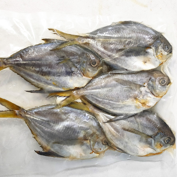 南美肉鲳海捕鲳鱼冷冻海鲜厄瓜多尔肉鲳500g装规格5条装