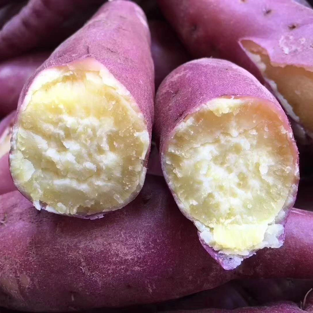 海南澄迈桥头地瓜新鲜沙地红薯山芋板栗番薯金手指10斤装代发