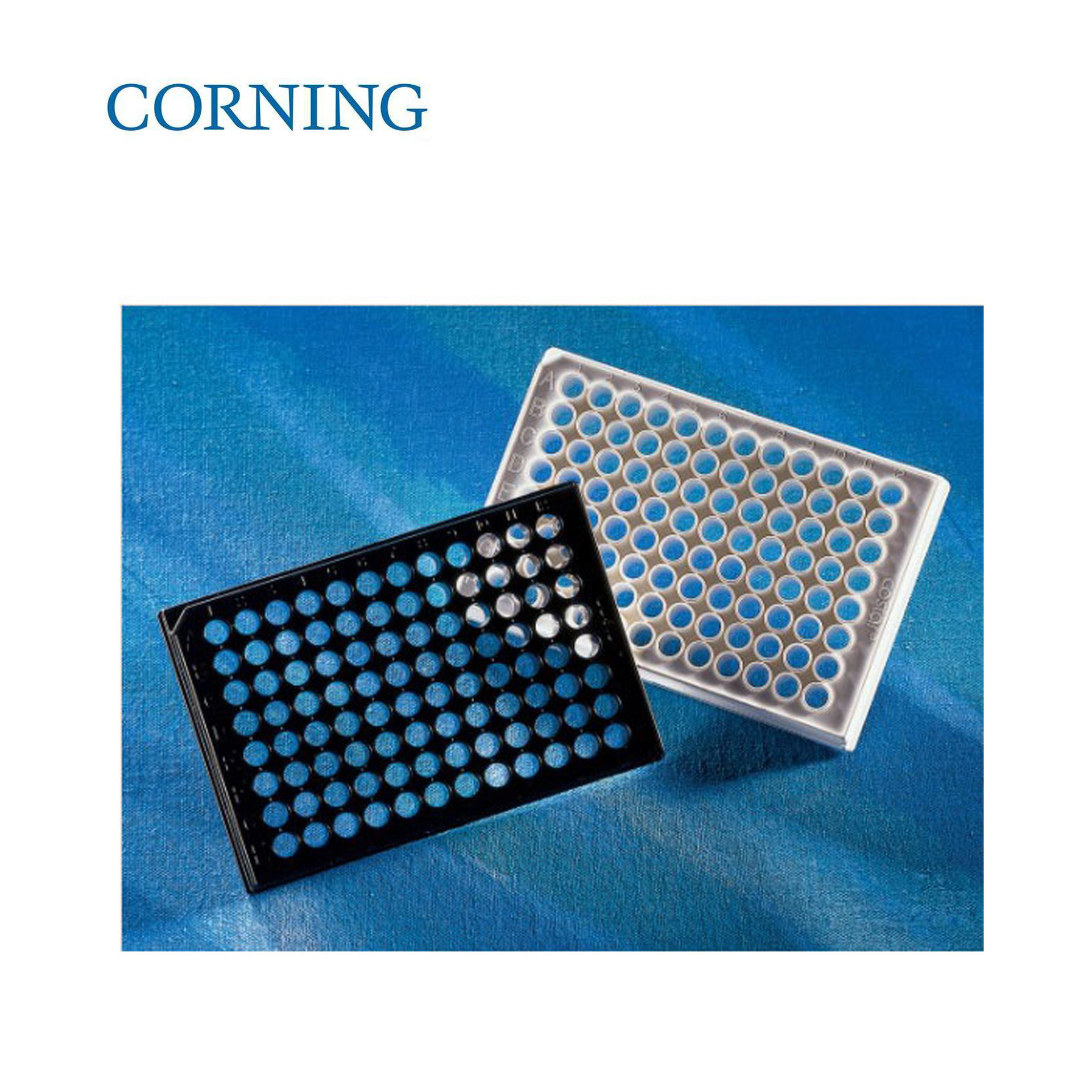 康宁corning360396孔板黑色透明平底带盖ps材质tc表面