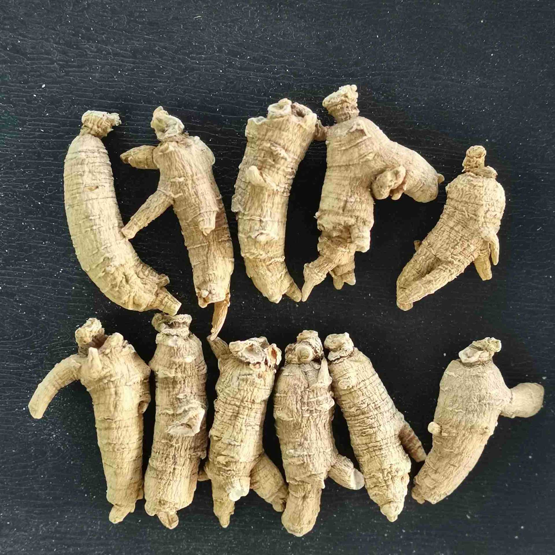 美国移种花旗参山东西洋参整支原丛 送礼佳品礼盒包装免费打粉