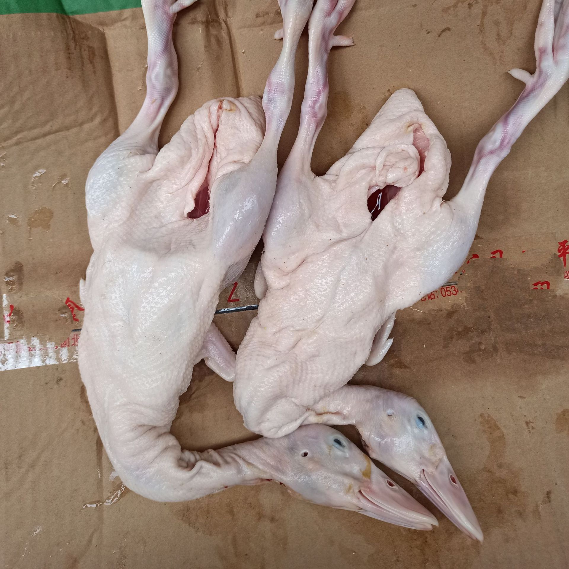 鸭肉 光鸭 bb鸭 乳鸭 鸭仔 烤鸭烧鸭脆皮鸭酱板鸭卤水鸭原材料