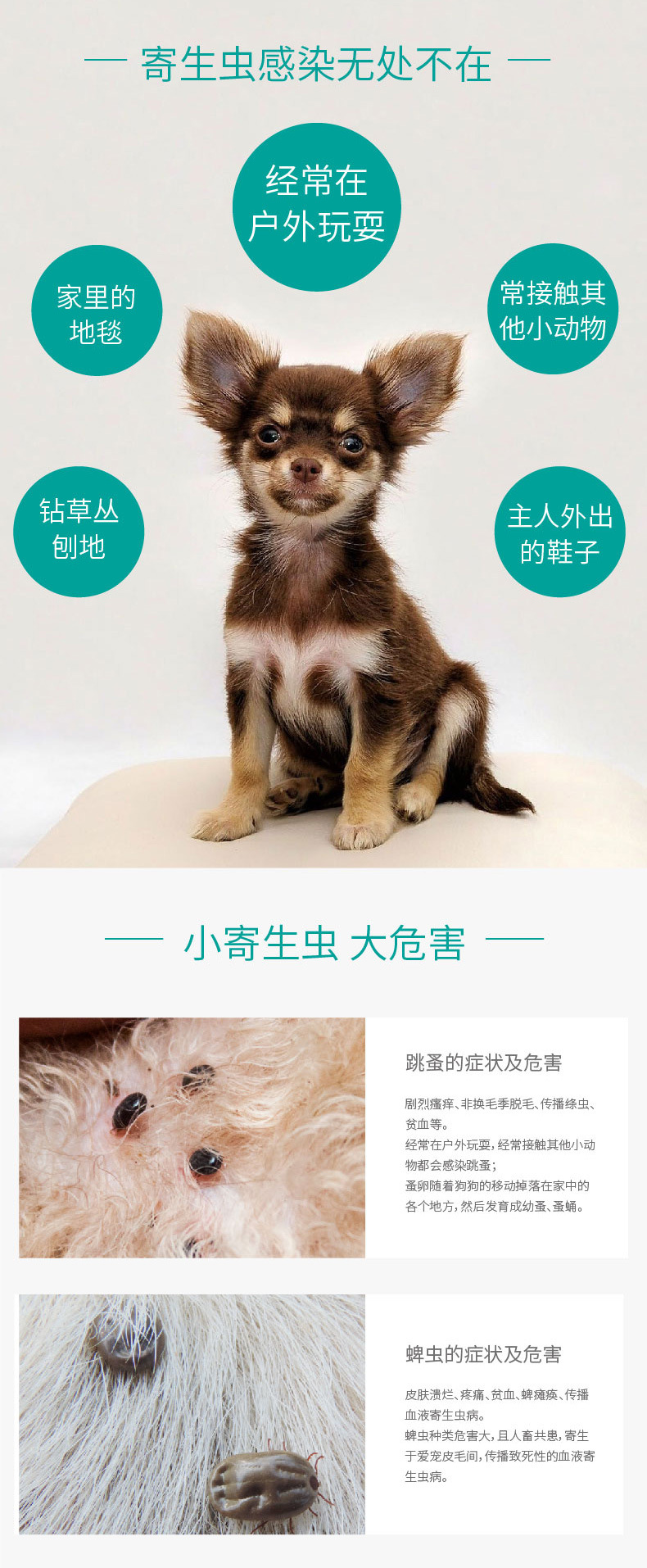 科泰宠物狗狗体外驱虫药成犬幼犬除螨跳蚤蜱虫滴剂泰迪金毛除虫药