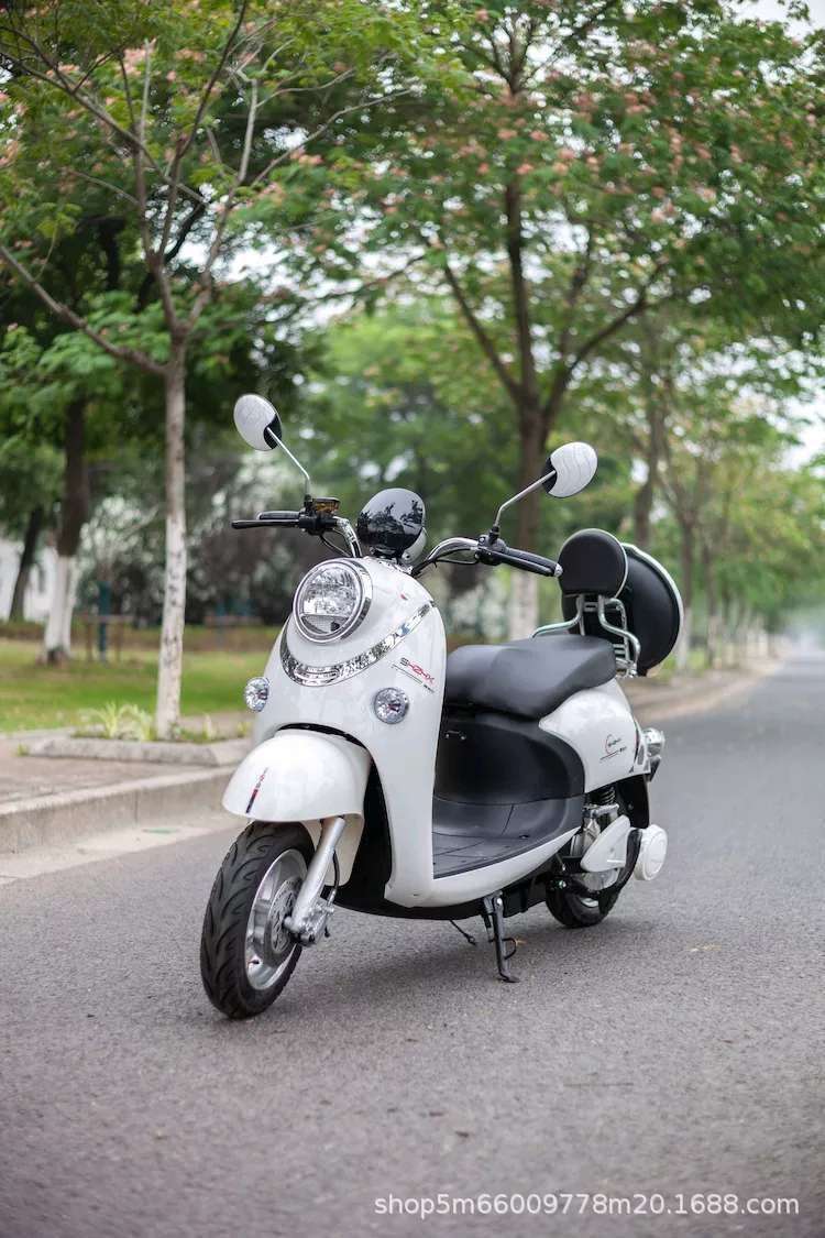 厂家直销 休闲成人 新龟王款两轮电动车 电动车批发 助力电车