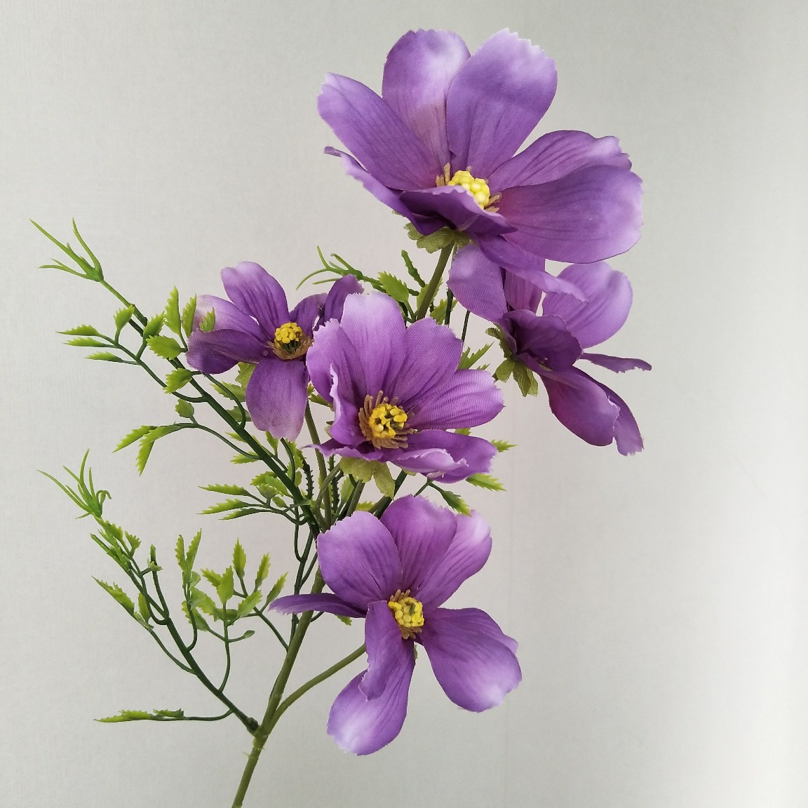 5头英国波斯菊小野菊小雏菊配饰客厅阳台拍照 婚庆用品仿真花假花