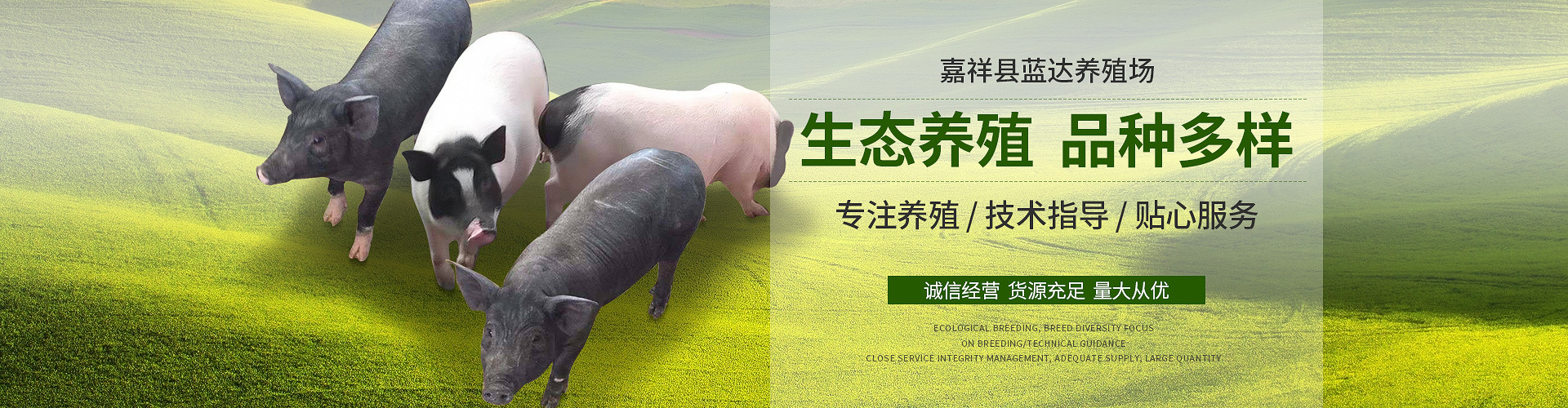 蓝达养殖场轮播03