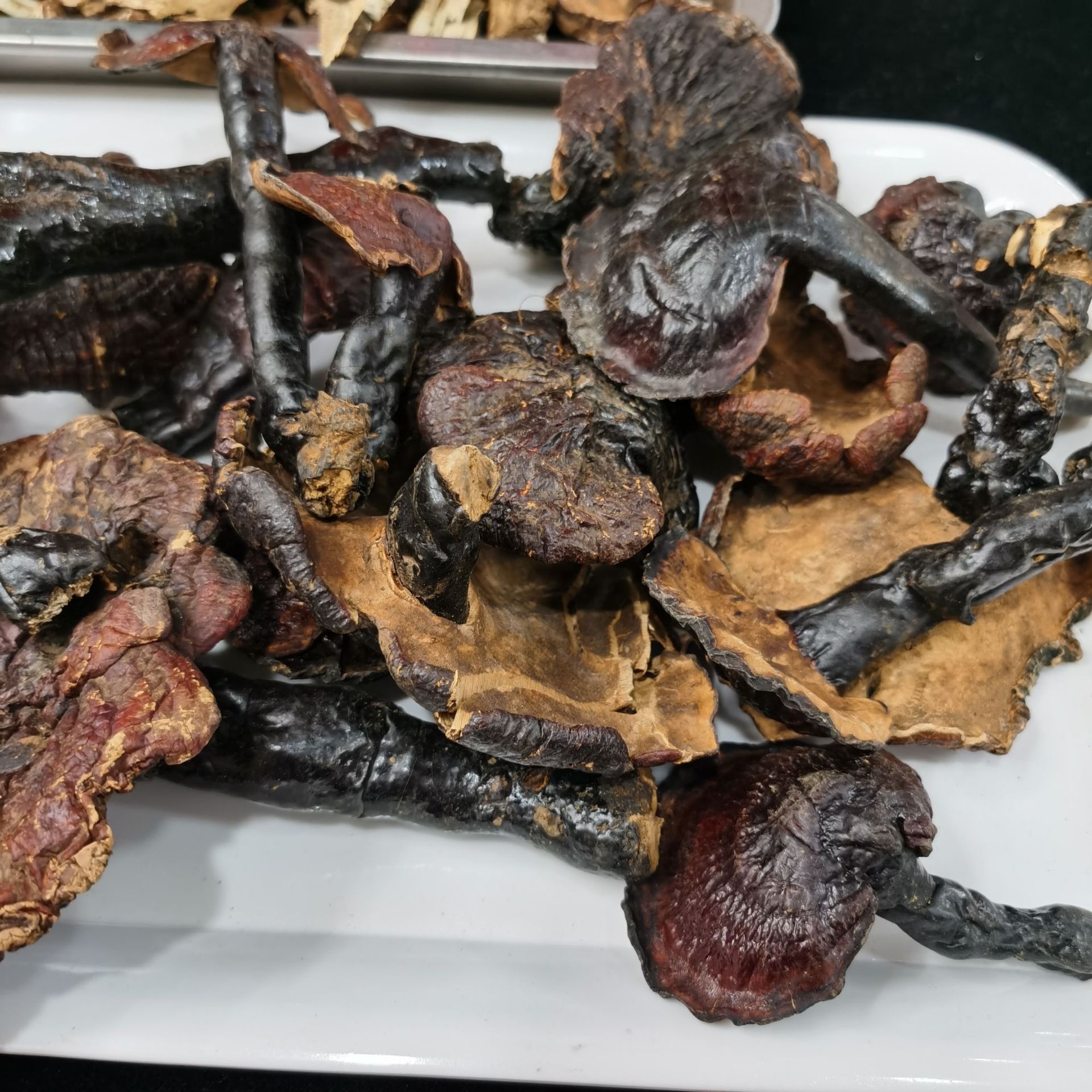 众珍元西藏赤灵芝 西藏赤灵芝 白肉赤灵芝 西藏灵芝 白肉赤灵芝