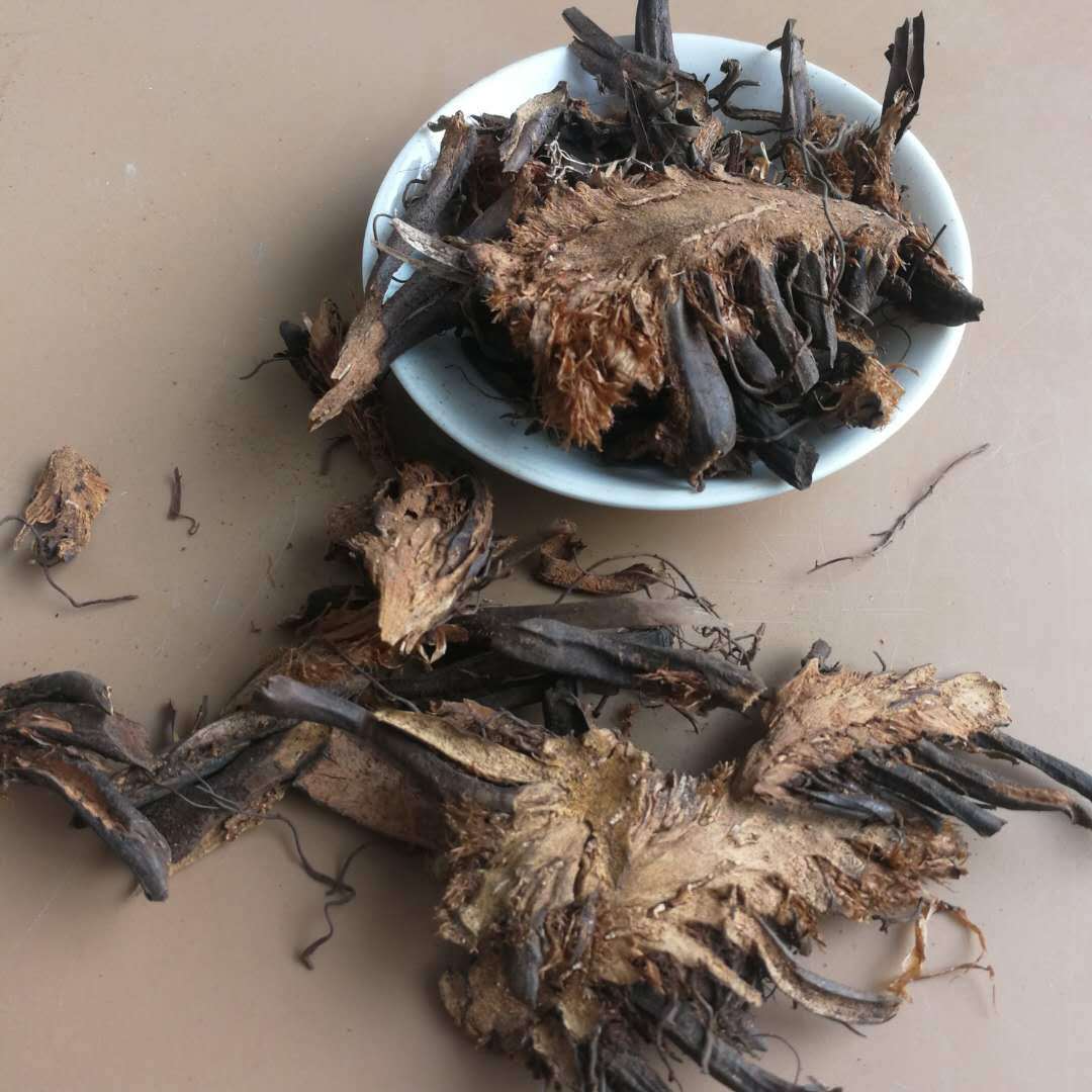 批发中药材贯众 绵马贯众个子 贯节