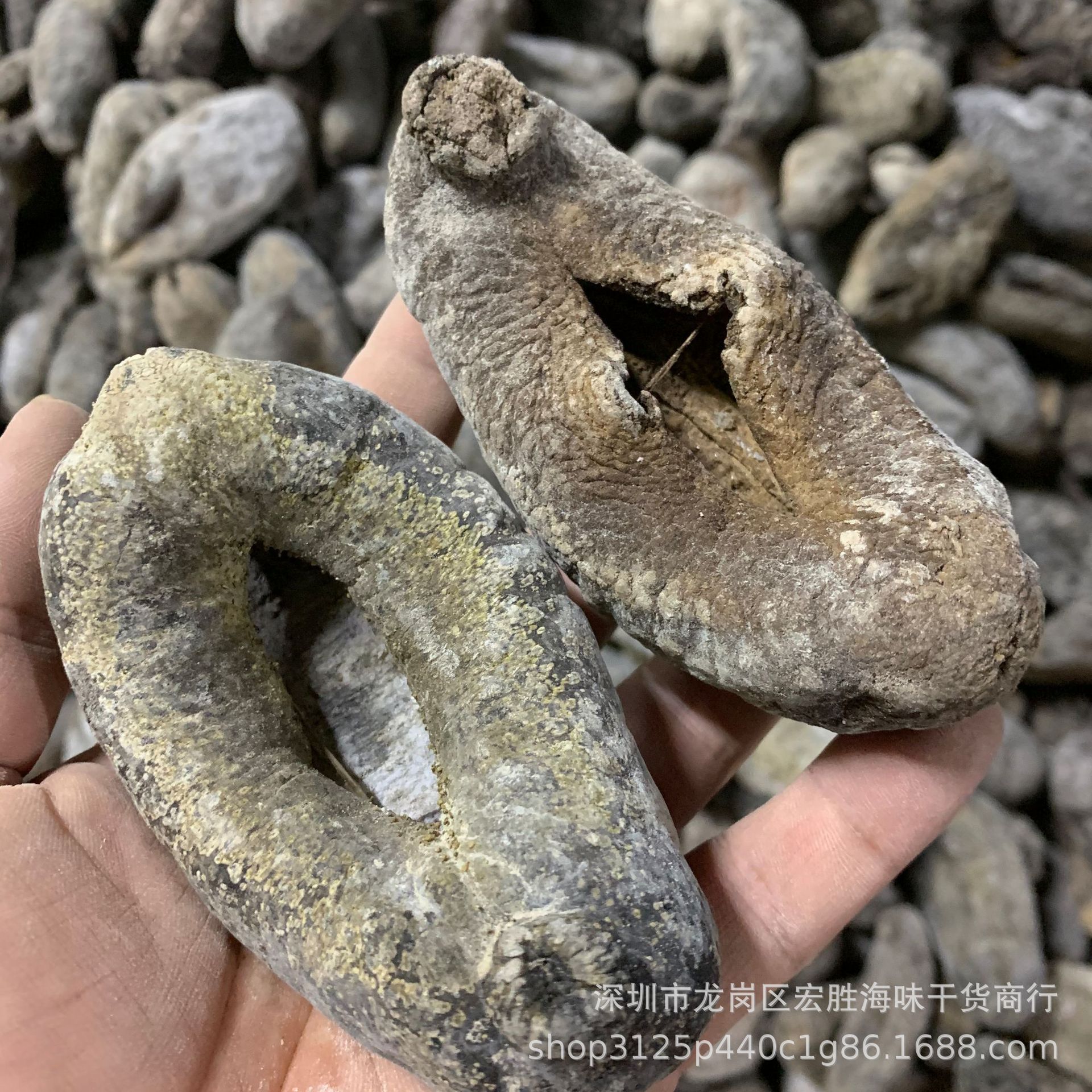 深海天然乌圆参乌仁参 小岛野生大乌参 淡干海参干货5到10头一斤